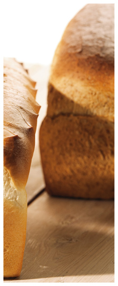 sidebar-brood